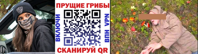 Галлюциногенные грибы прущие грибы  Надым 