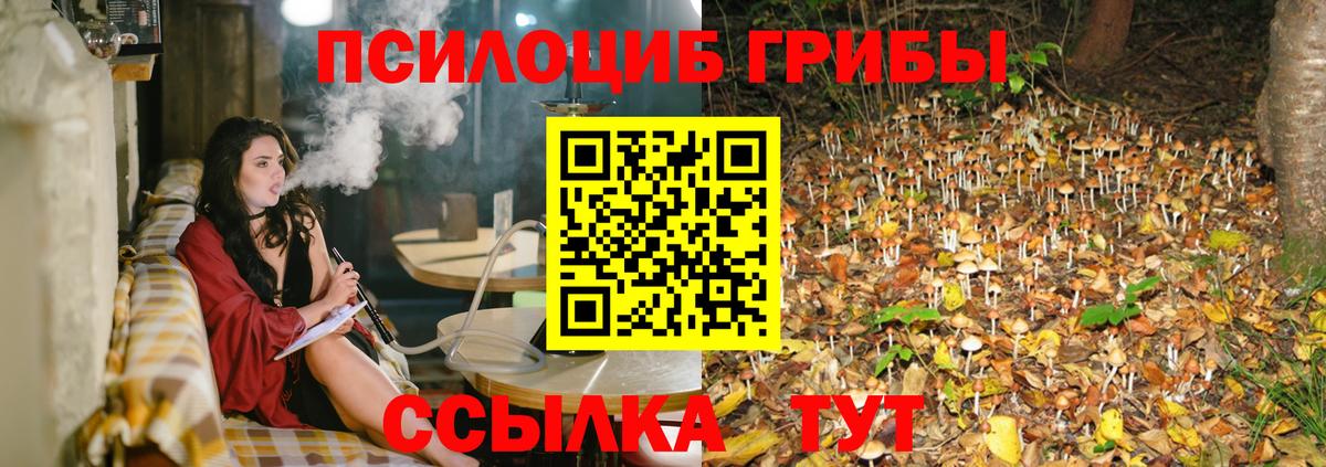 Надым  Галлюциногенные грибы GOLDEN TEACHER  Вход с VPN 